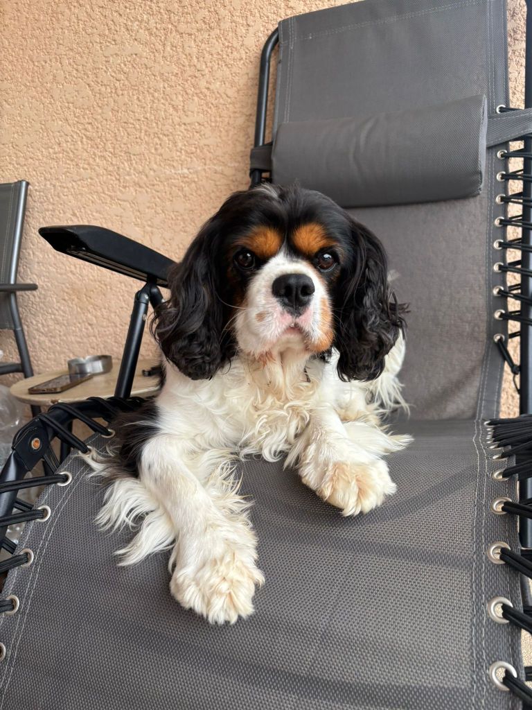 Sky De la combe berail